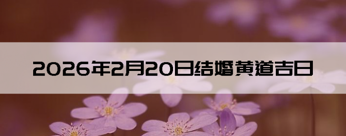 2026��2��20�ս�鼪��������