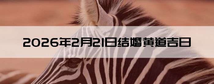 2026��2��21�������ʺϽ����