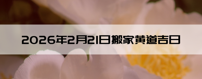 2026��2��21�������ʺϰ����