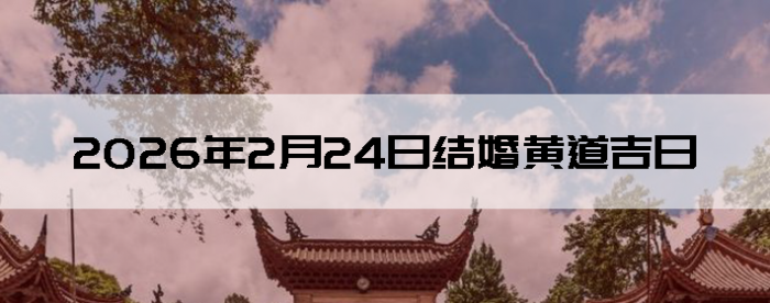 2026��2��24�ս������Ӳ�ѯ