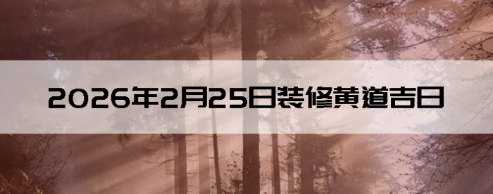 2026��2��25�������ʺ�װ����