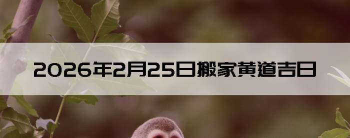 2026��2��25�������ʺϰ����