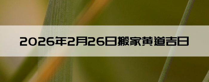 2026��2��26�հ�Һ����Ӳ�ѯ