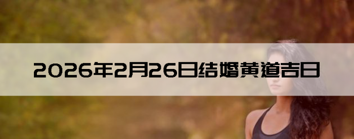 2026��2��26����������ô��