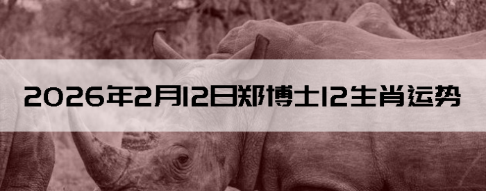 2026��2��12��֣��ʿ12��Ф����