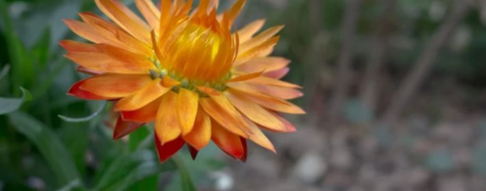 ��Ӱ���������࣬���������