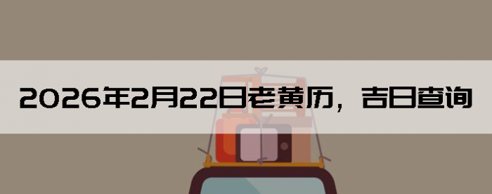 2026��2��22���ϻ��������ղ�ѯ