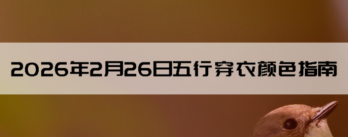 2026��2��26�����д�����ɫָ��