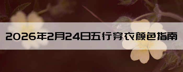 2026��2��24�����д�����ɫָ��