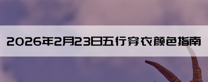 2026��2��23�����д�����ɫָ��