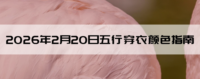 2026��2��20�����д�����ɫָ��