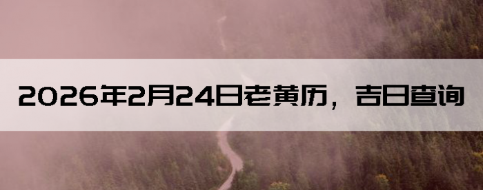 2026��2��24���ϻ��������ղ�ѯ