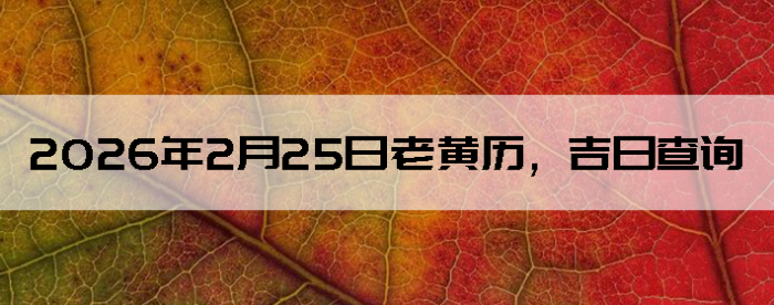 2026��2��25���ϻ��������ղ�ѯ