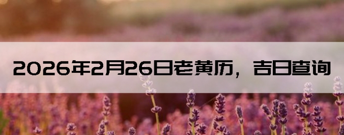 2026��2��26���ϻ��������ղ�ѯ