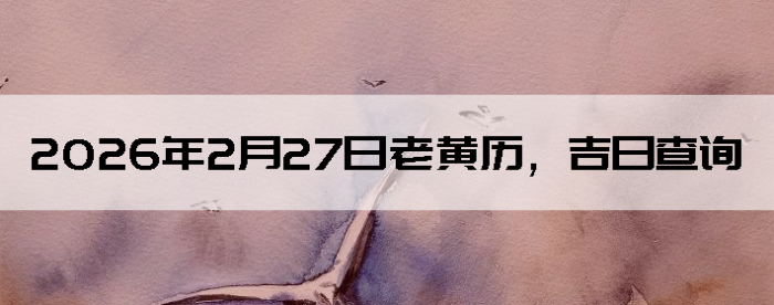 2026��2��27���ϻ��������ղ�ѯ