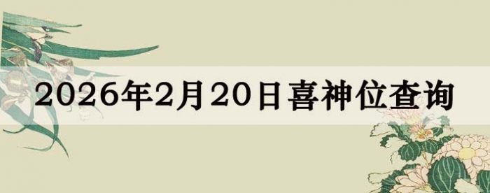 2026��2��20��ϲ��λ��ϸ����