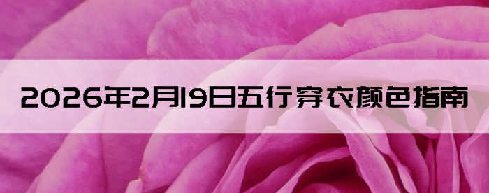 2026��2��19�����д�����ɫָ��