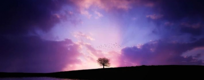 �׺�ǰ�θ��ϵ���Ф����Ӳ����