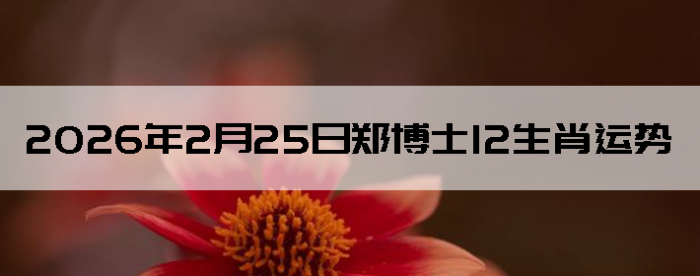 2026��2��25��֣��ʿ12��Ф����