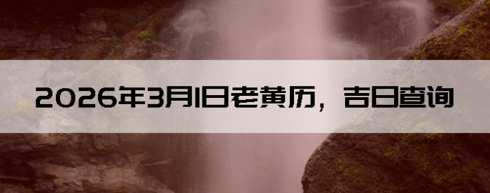 2026��3��1���ϻ��������ղ�ѯ