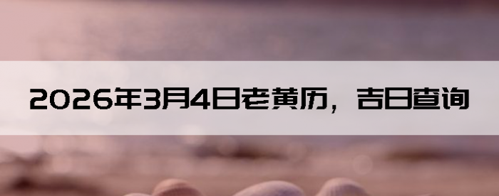 2026��3��4���ϻ��������ղ�ѯ