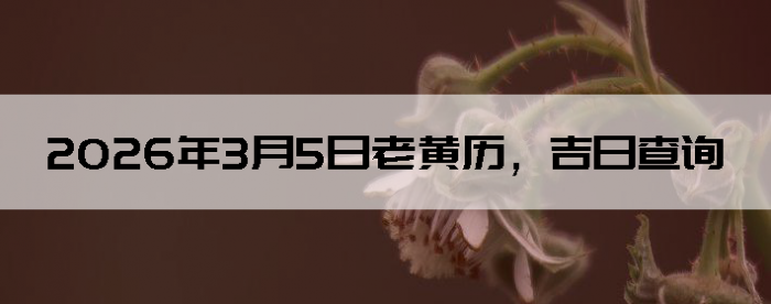 2026��3��5���ϻ��������ղ�ѯ