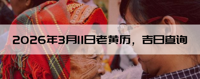 2026��3��11���ϻ��������ղ�ѯ