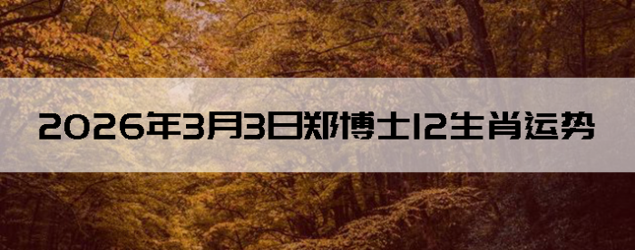 2026��3��3��֣��ʿ12��Ф����