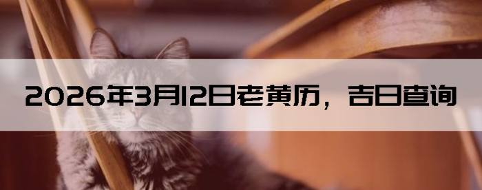 2026��3��12���ϻ��������ղ�ѯ