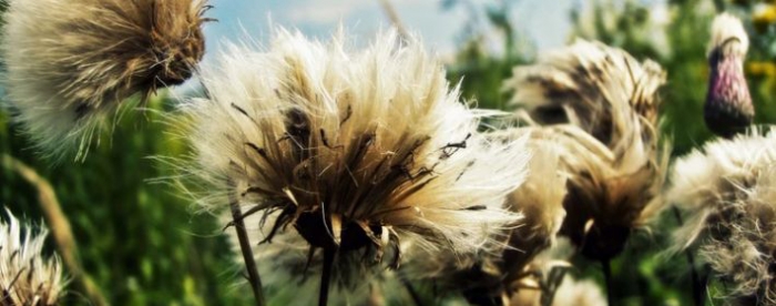 �����ܿ���ʲô�أ���ѧ������