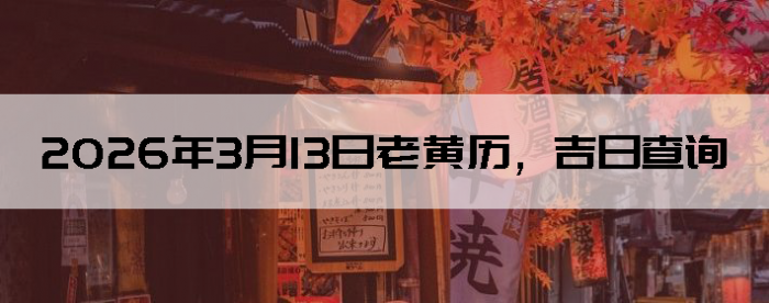 2026��3��13���ϻ��������ղ�ѯ