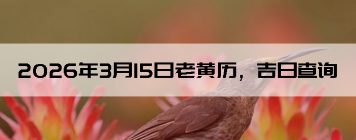 2026��3��15���ϻ��������ղ�ѯ