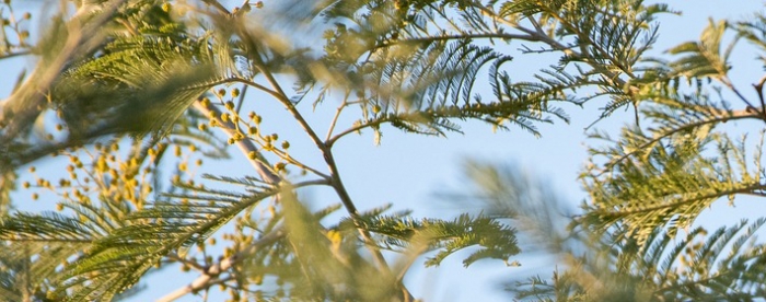 һ���Ͷ�������ҵ�ߵ����࿴��