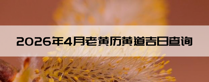 2026��4���ϻ����Ƶ����ղ�ѯ