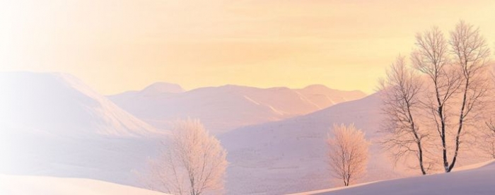 �������������Ե����żǱ�ڳ�ͻ