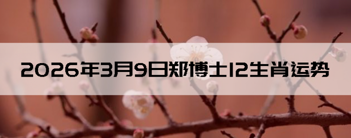 2026��3��9��֣��ʿ12��Ф����