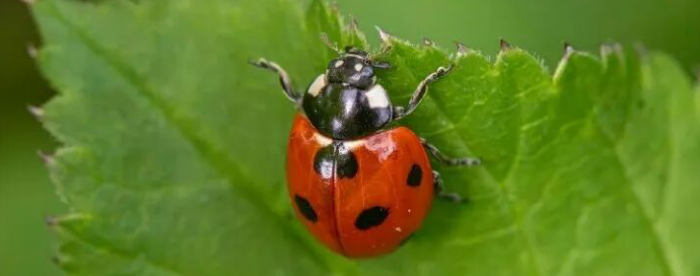 ����������3���£�һ�겡��մ