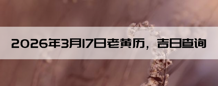 2026��3��17���ϻ��������ղ�ѯ