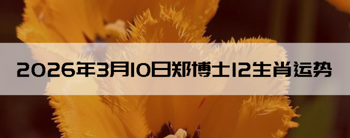 2026��3��10��֣��ʿ12��Ф����