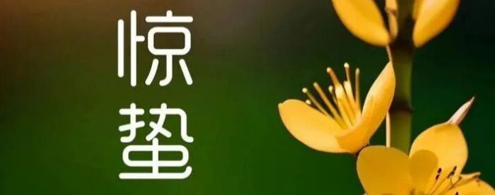 �׻�˵���ݽ�����������ɶ��˼