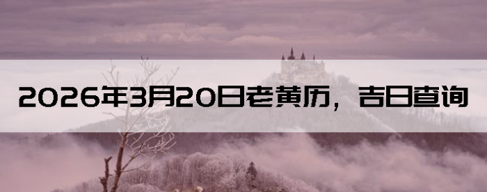 2026��3��20���ϻ��������ղ�ѯ