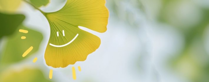 ����������������������ҵ����զ��