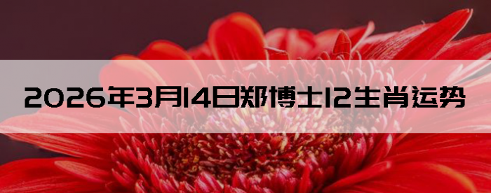 2026��3��14��֣��ʿ12��Ф����