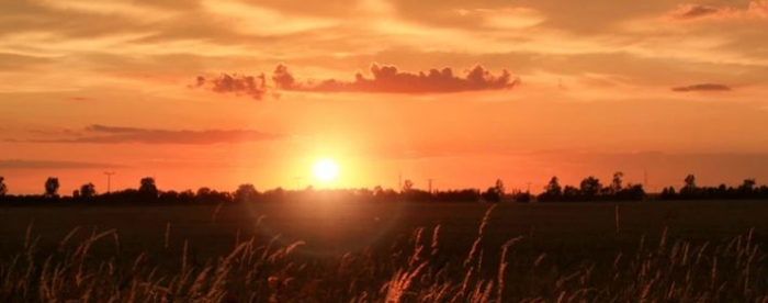 û�뵽������Щ��Ф��ѹ��ס��