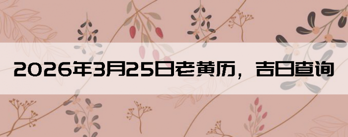 2026��3��25���ϻ��������ղ�ѯ