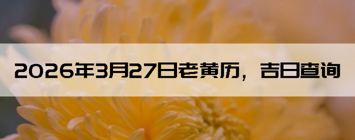 2026��3��27���ϻ��������ղ�ѯ