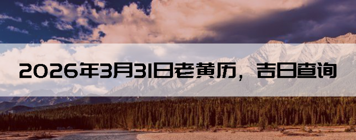 2026��3��31���ϻ��������ղ�ѯ