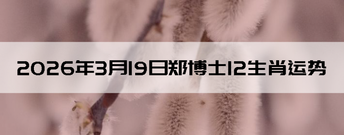 2026��3��19��֣��ʿ12��Ф����