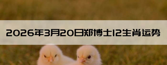 2026��3��20��֣��ʿ12��Ф����