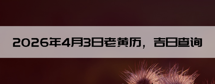 2026��4��3���ϻ��������ղ�ѯ